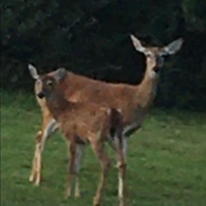 Meet your Posher, Julie